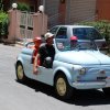Burgio_2009 (556)